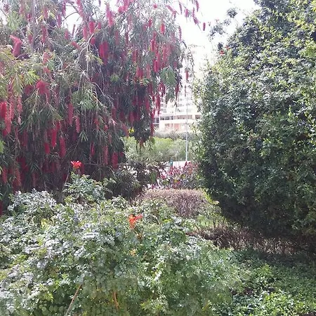 Primavera Sun Portimão